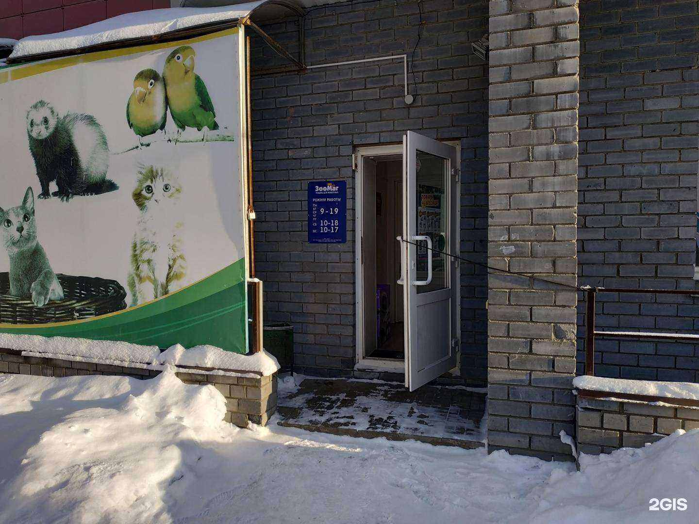 Отзывы на компанию ЗооМаг в Кирове c фото