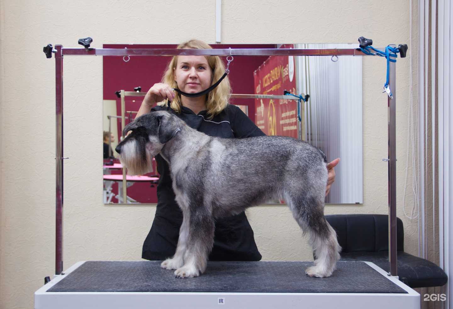 Отзывы на компанию Varvara groom в Энгельсе c фото