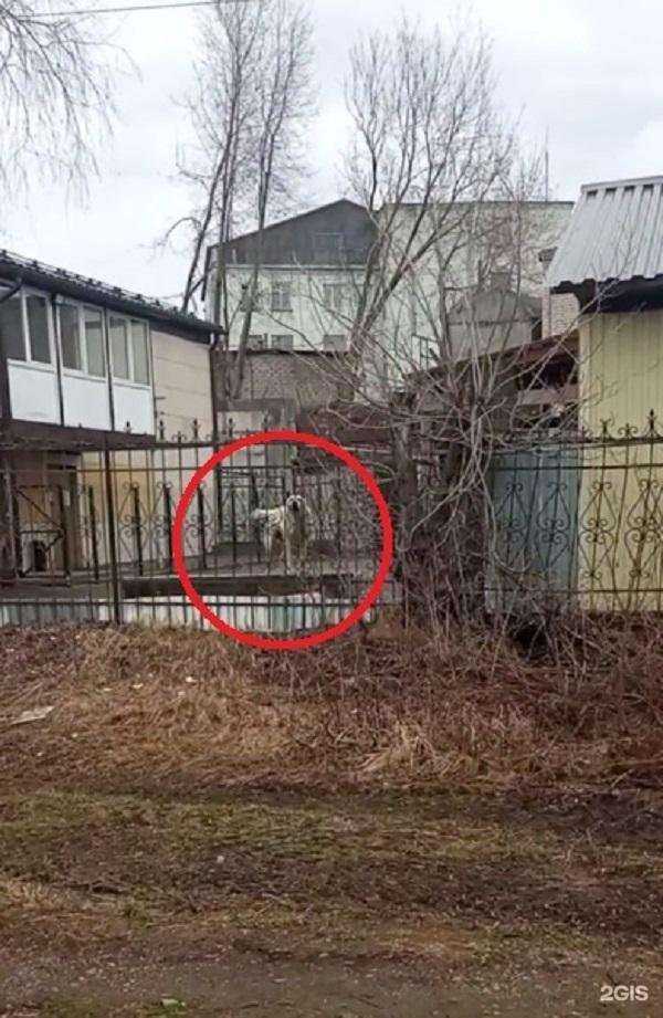 Отзывы на компанию Строительная компания в г. Киров c фото