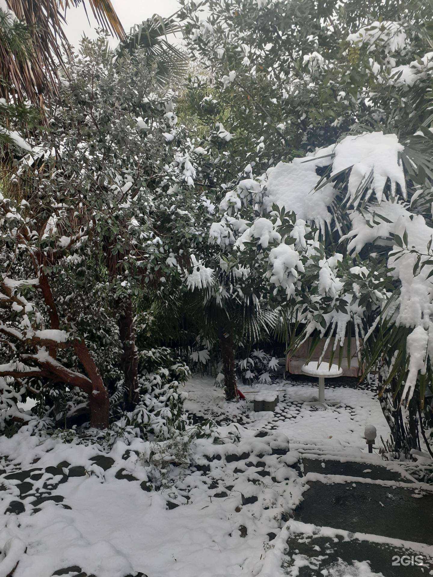 Отзывы на компанию Дом у моря в Чемитоквадже в Сочи c фото