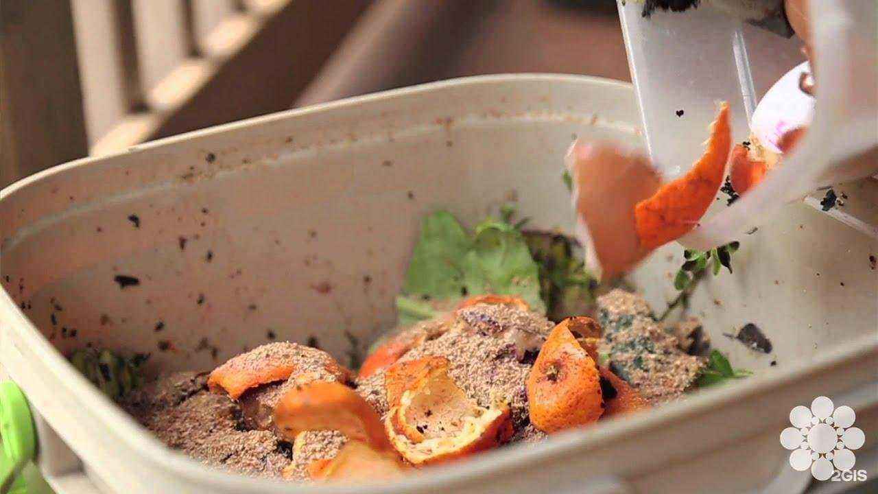 Отзывы на компанию Центральная станция защиты растений в г. Королёв c фото