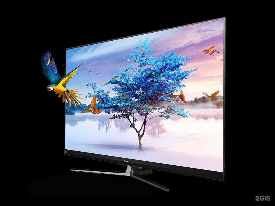 Отзывы на компанию Diamond в Калининграде c фото