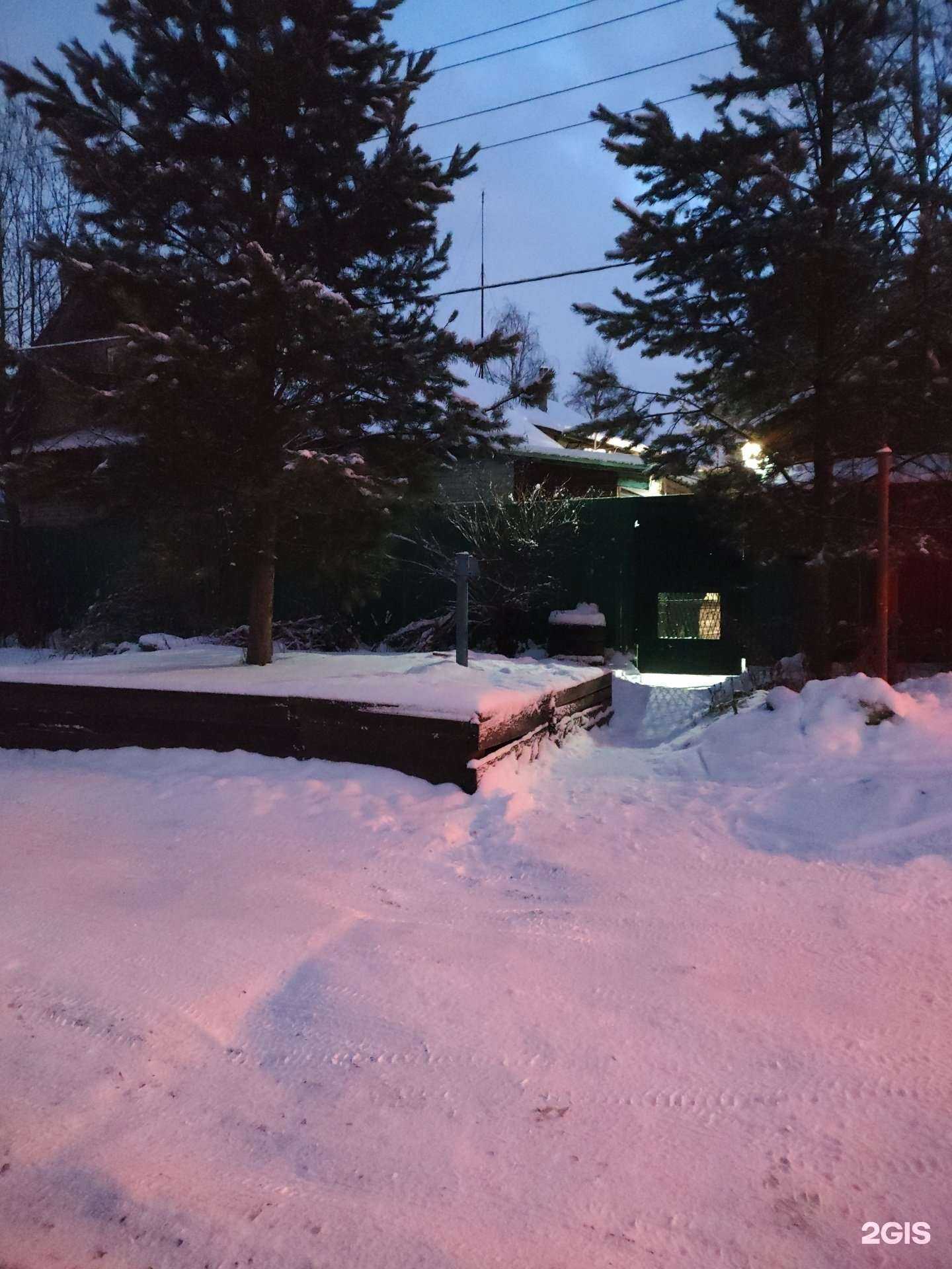 Отзывы на компанию Малина в г. Архангельск c фото