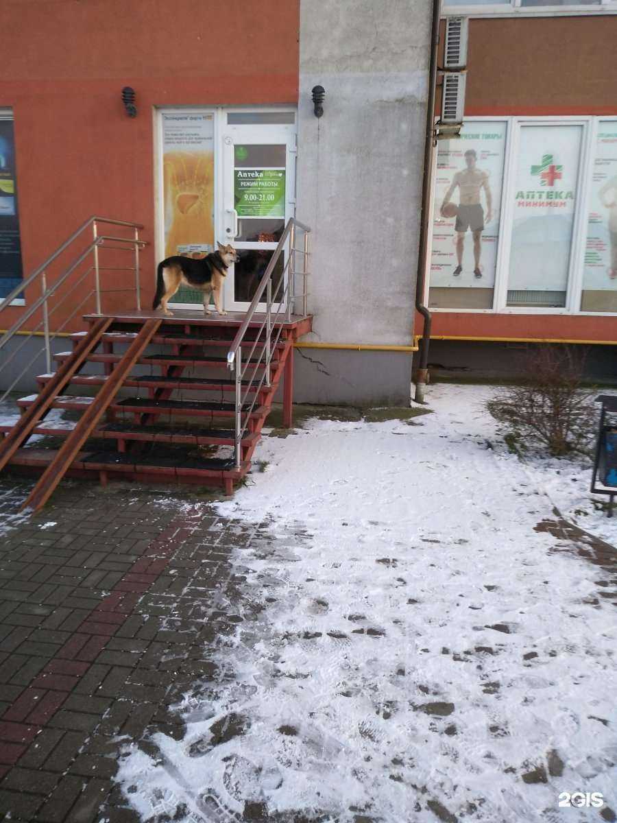 Отзывы на компанию Аптека плюс в Калининграде c фото