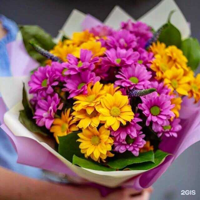 Отзывы на компанию Дари лето в г. Абакан c фото