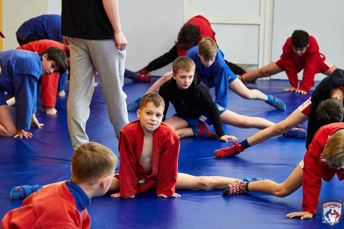 Отзывы на компанию Самбо Юниор в Томске c фото