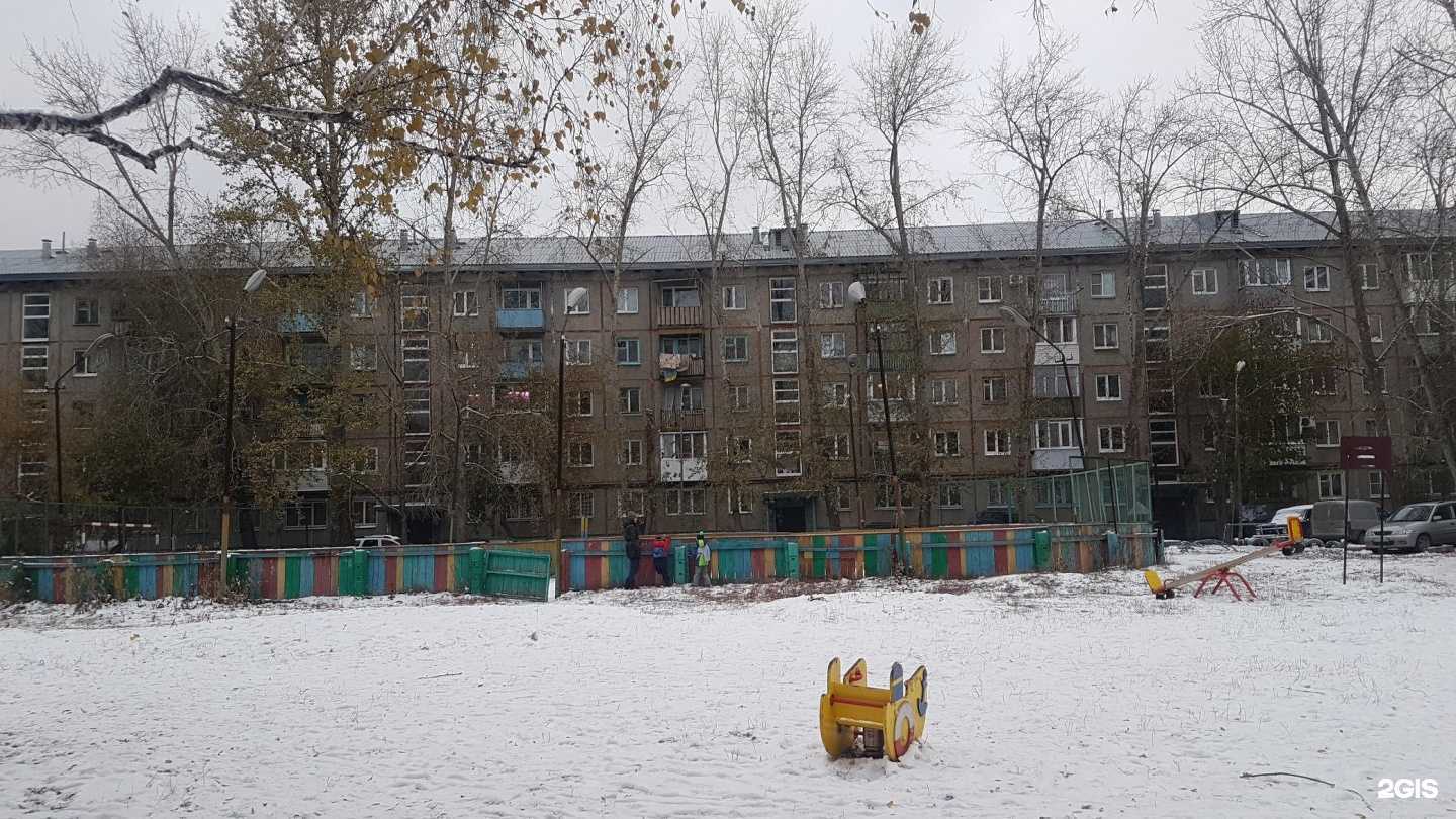 Отзывы на компанию Любимцы в Омске c фото - фотография 2 из 2