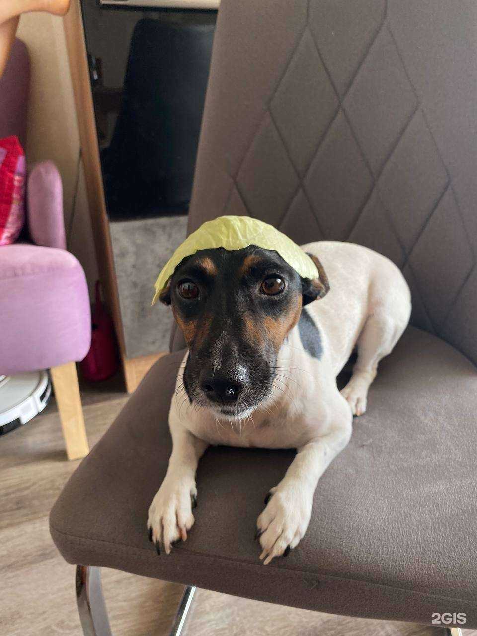 Отзывы на компанию Лицей №17 в Ставрополе c фото