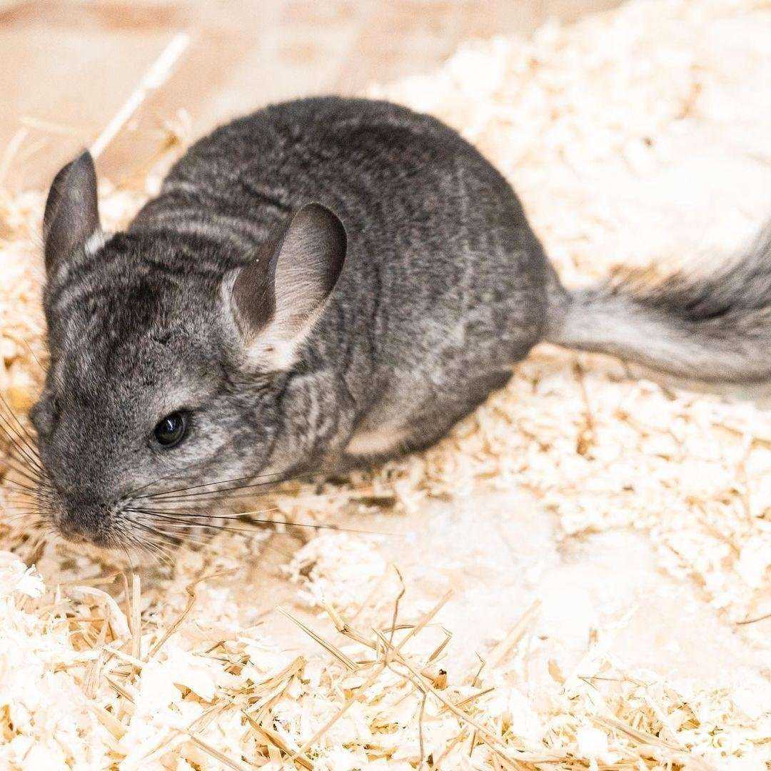 Отзывы на компанию Пророст в Ростове-на-Дону c фото