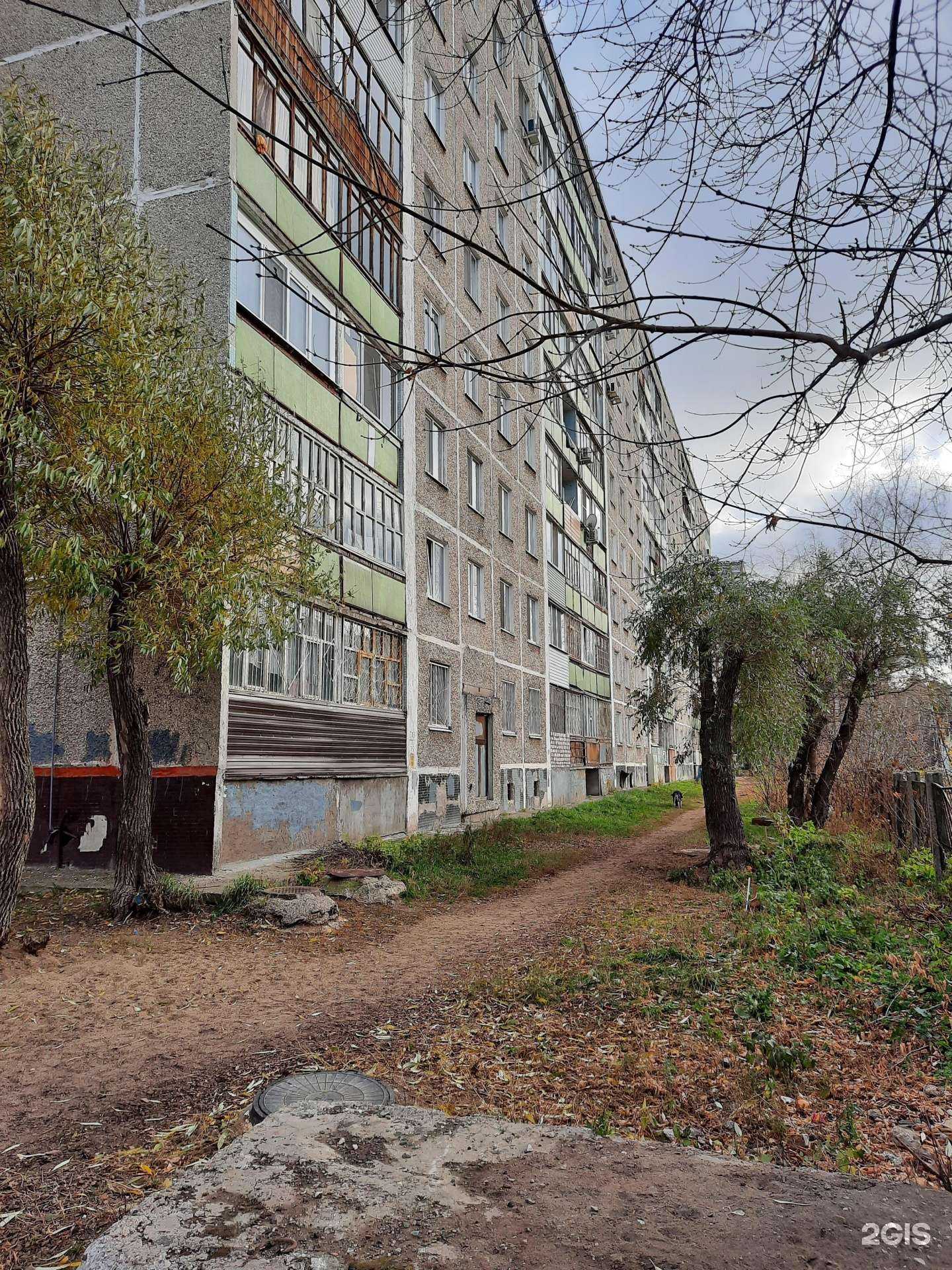 Отзывы на компанию Кот ученый в Перми c фото - фотография 2 из 2