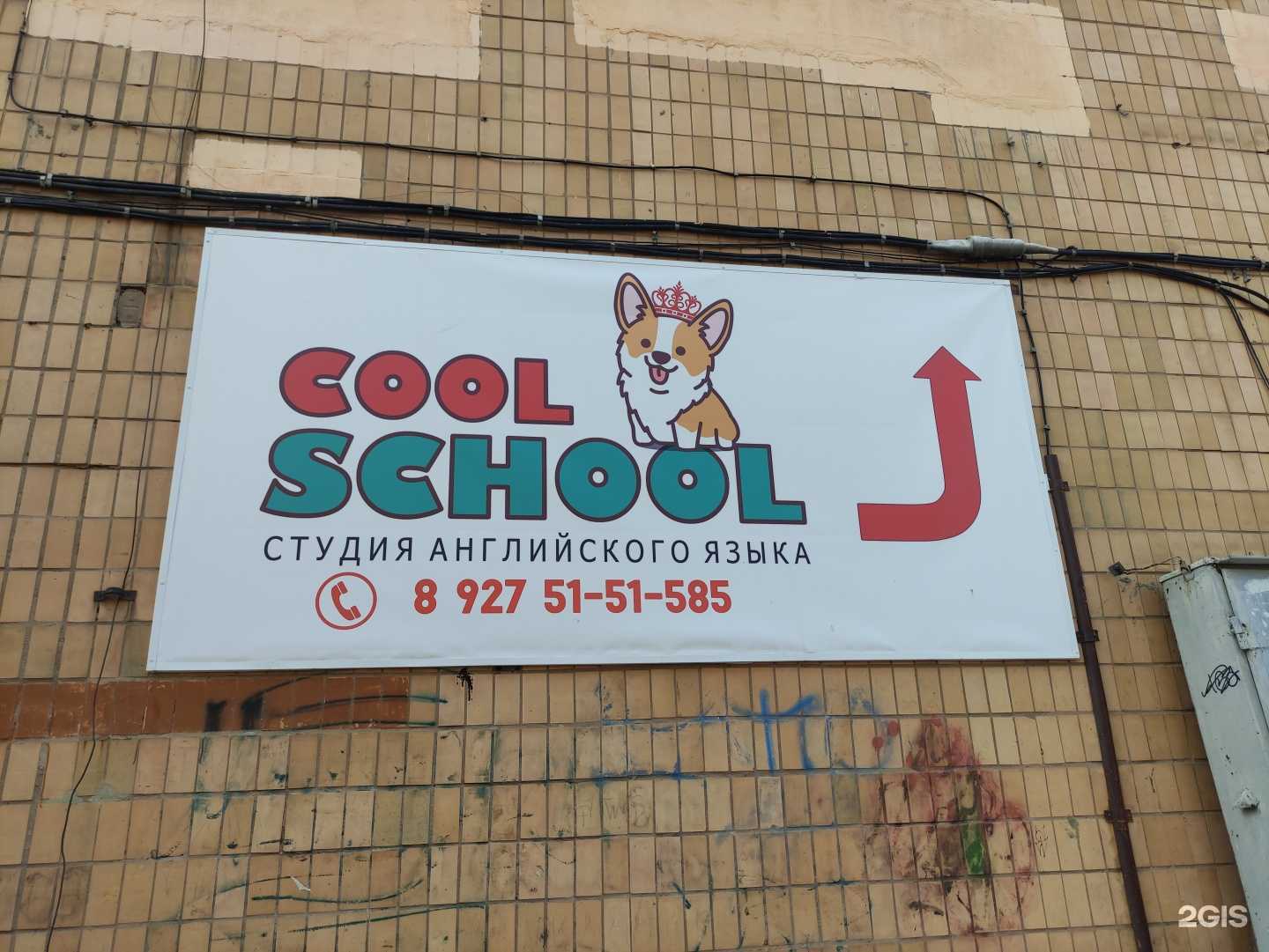 Отзывы на компанию Cool School в Камышине c фото