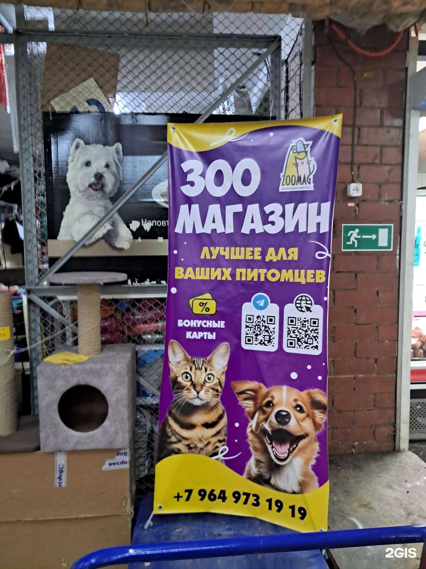 Отзывы на компанию Zoomag в г. Тольятти c фото