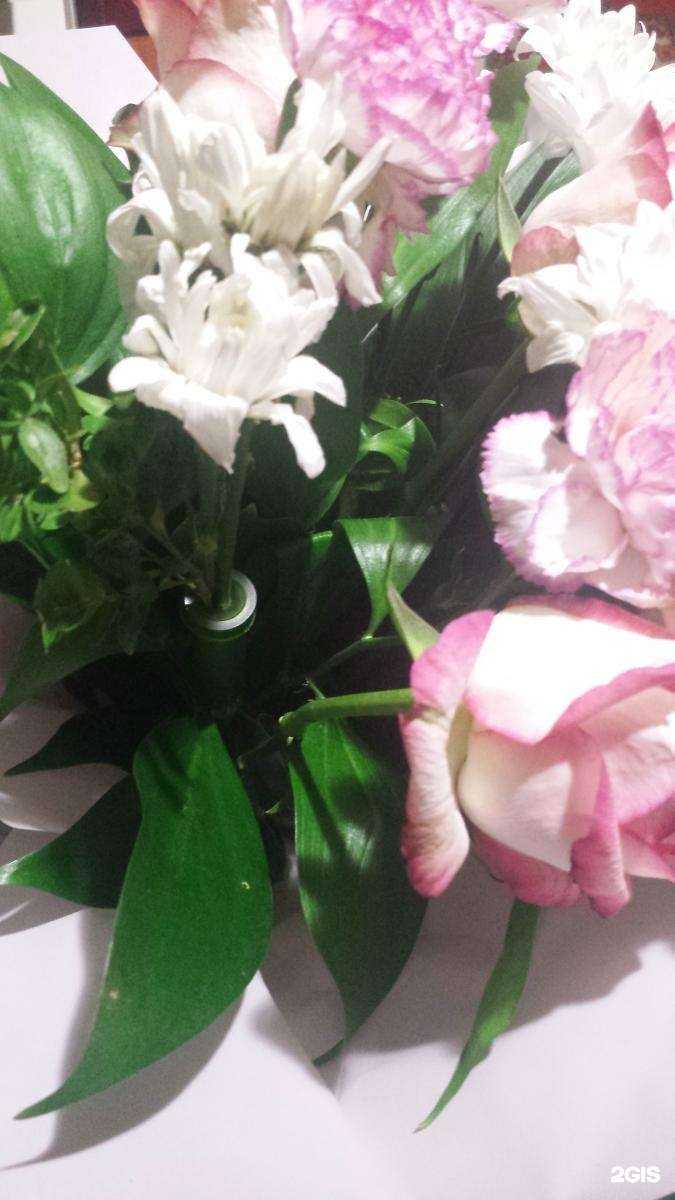 Отзывы на компанию Цветочный микс в Волгограде c фото
