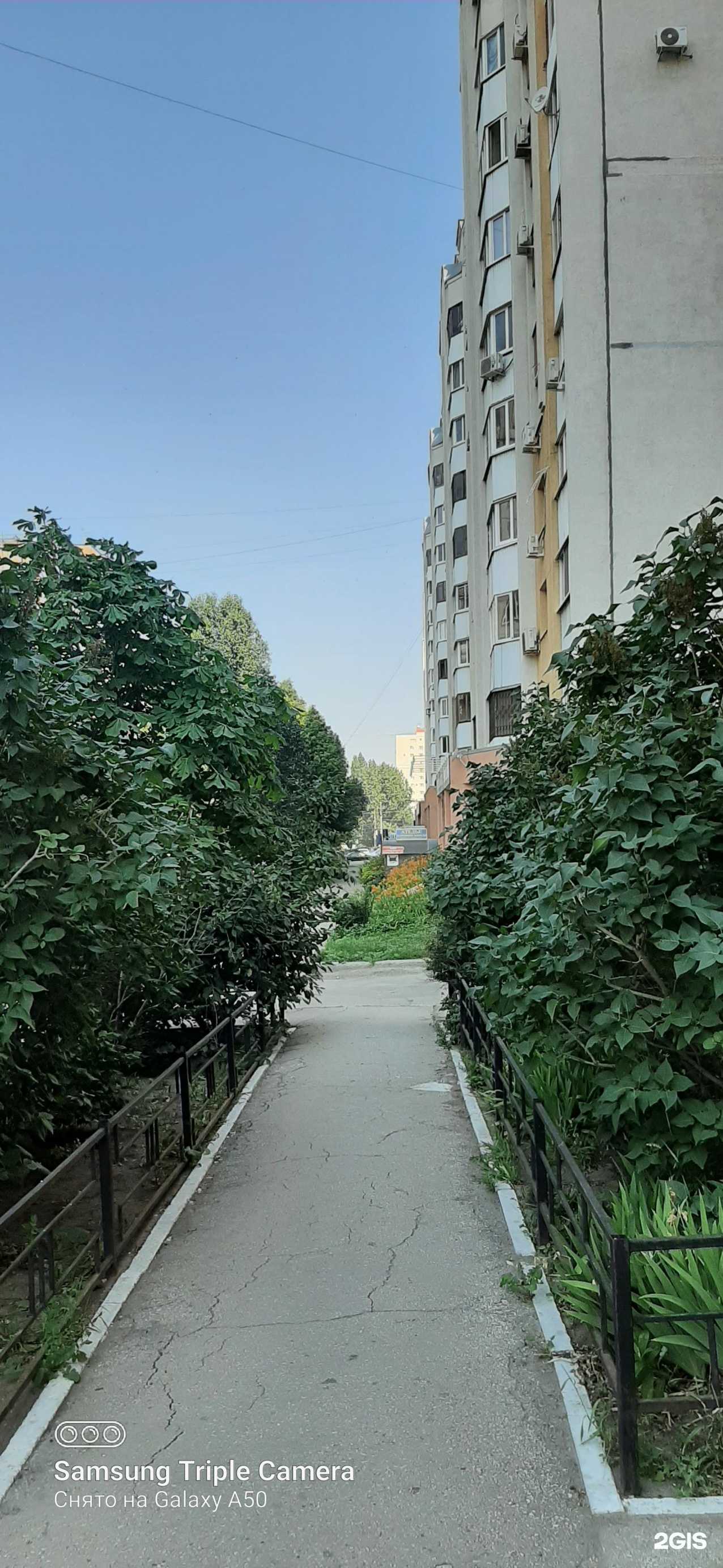 Отзывы на компанию Роллы по себестоимости в Самаре c фото - фотография 2 из 2