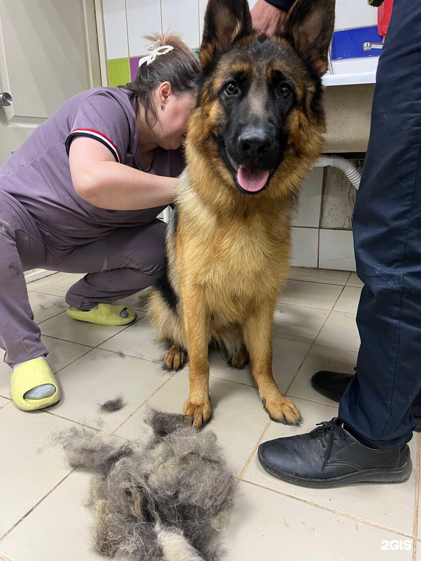 Отзывы на компанию Liberty Fly в Барнауле c фото