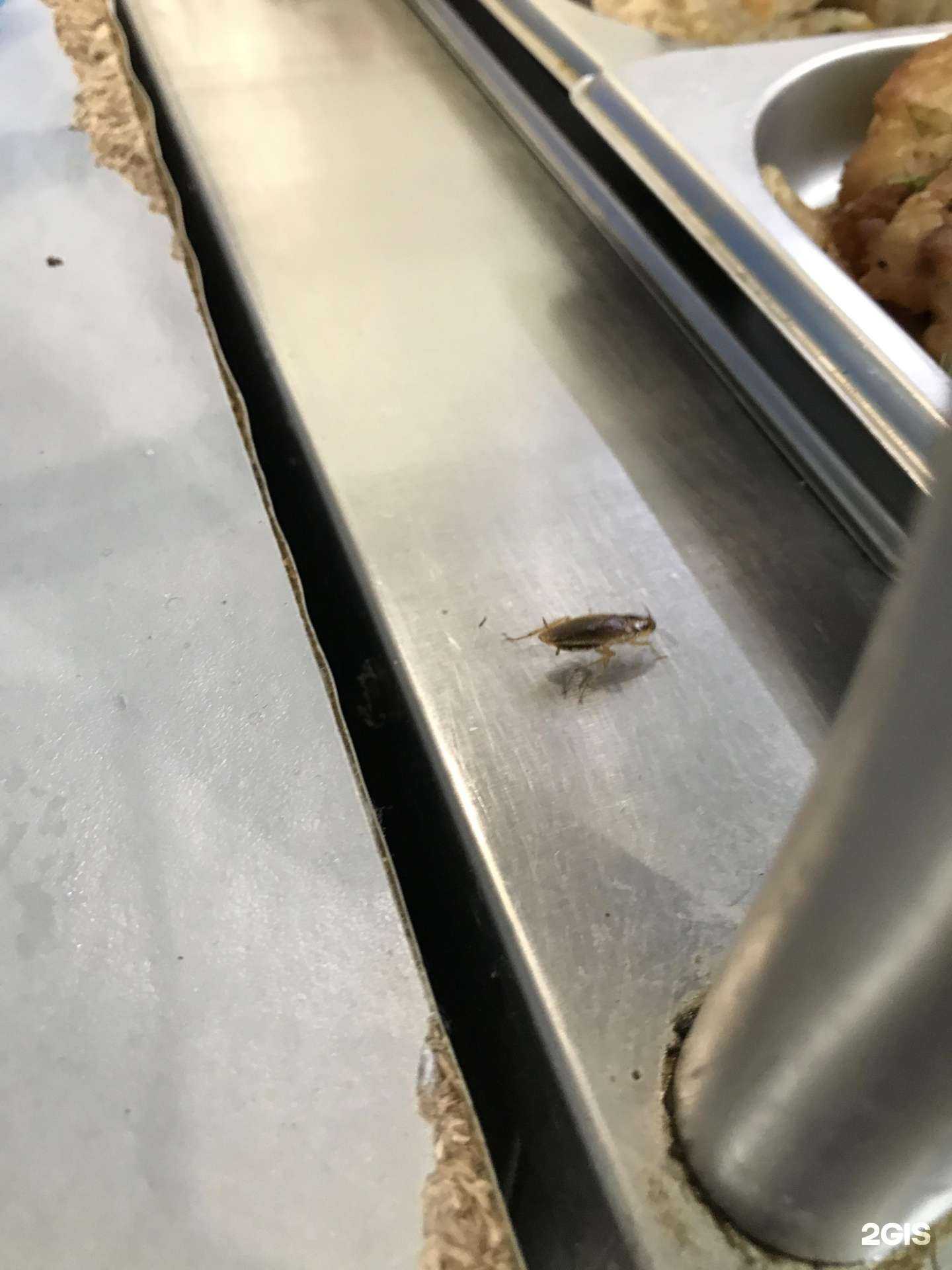 Отзывы на компанию Фуд Сити в г. Вологда c фото