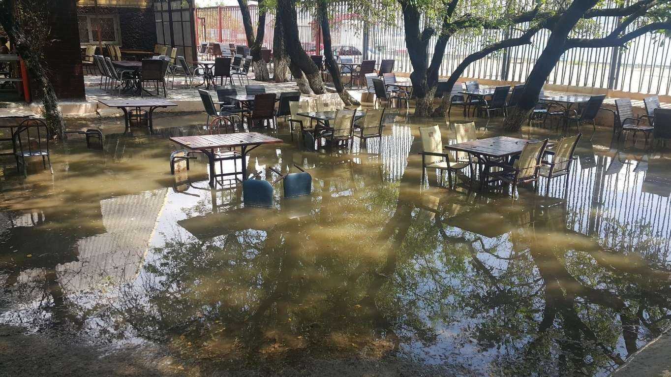 Отзывы на компанию Leto Лето в Новороссийске c фото - фотография 2 из 2