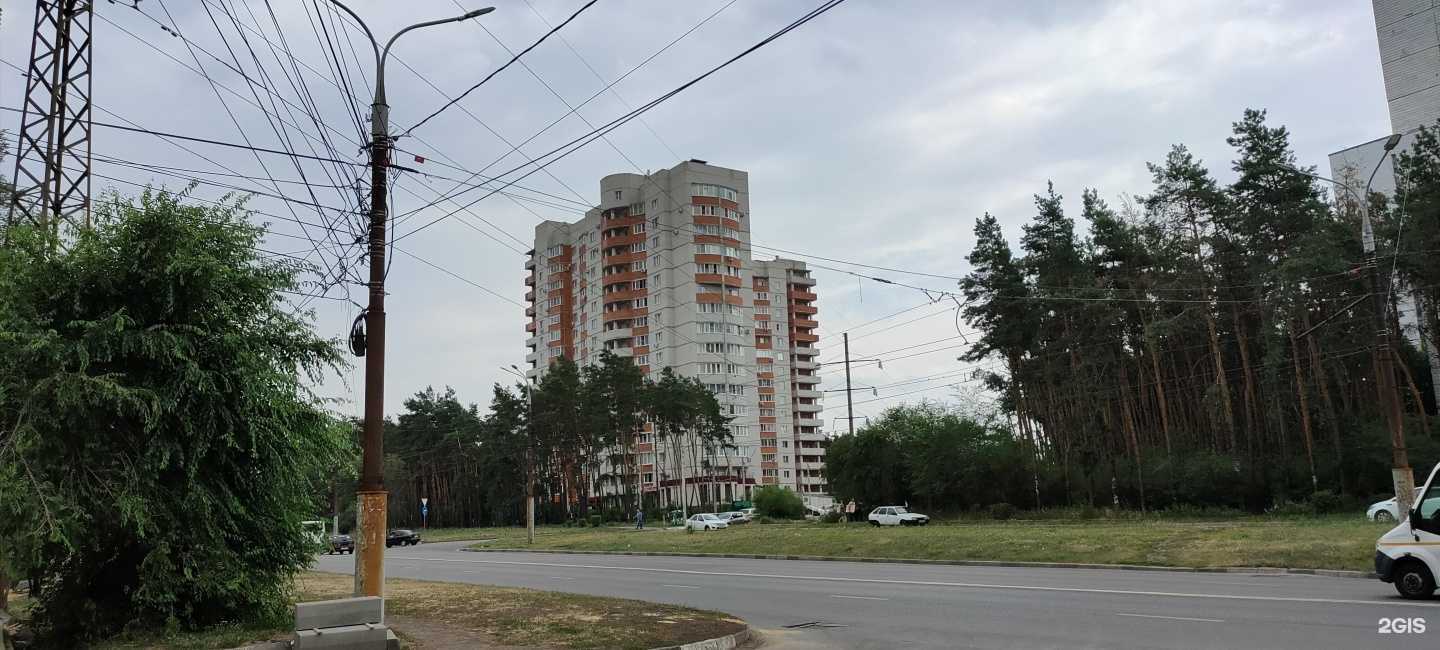 Отзывы на компанию Элевика в Воронеже c фото - фотография 2 из 2