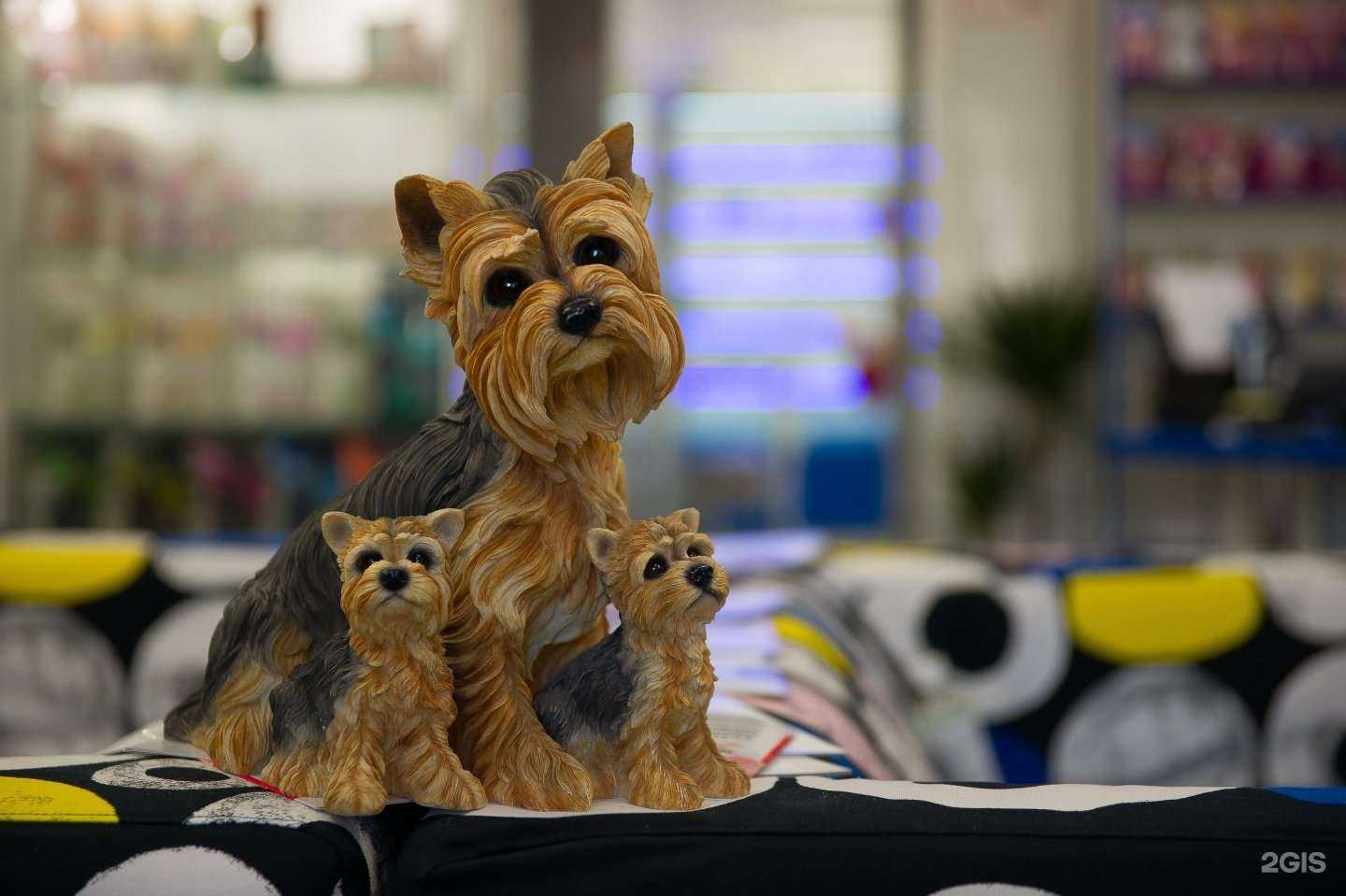 Отзывы на компанию Клиника ветеринарной помощи доктора Зубкова в г. Шахты c фото