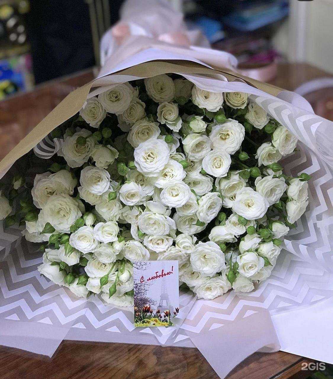 Отзывы на компанию Фламинго в г. Пятигорск c фото