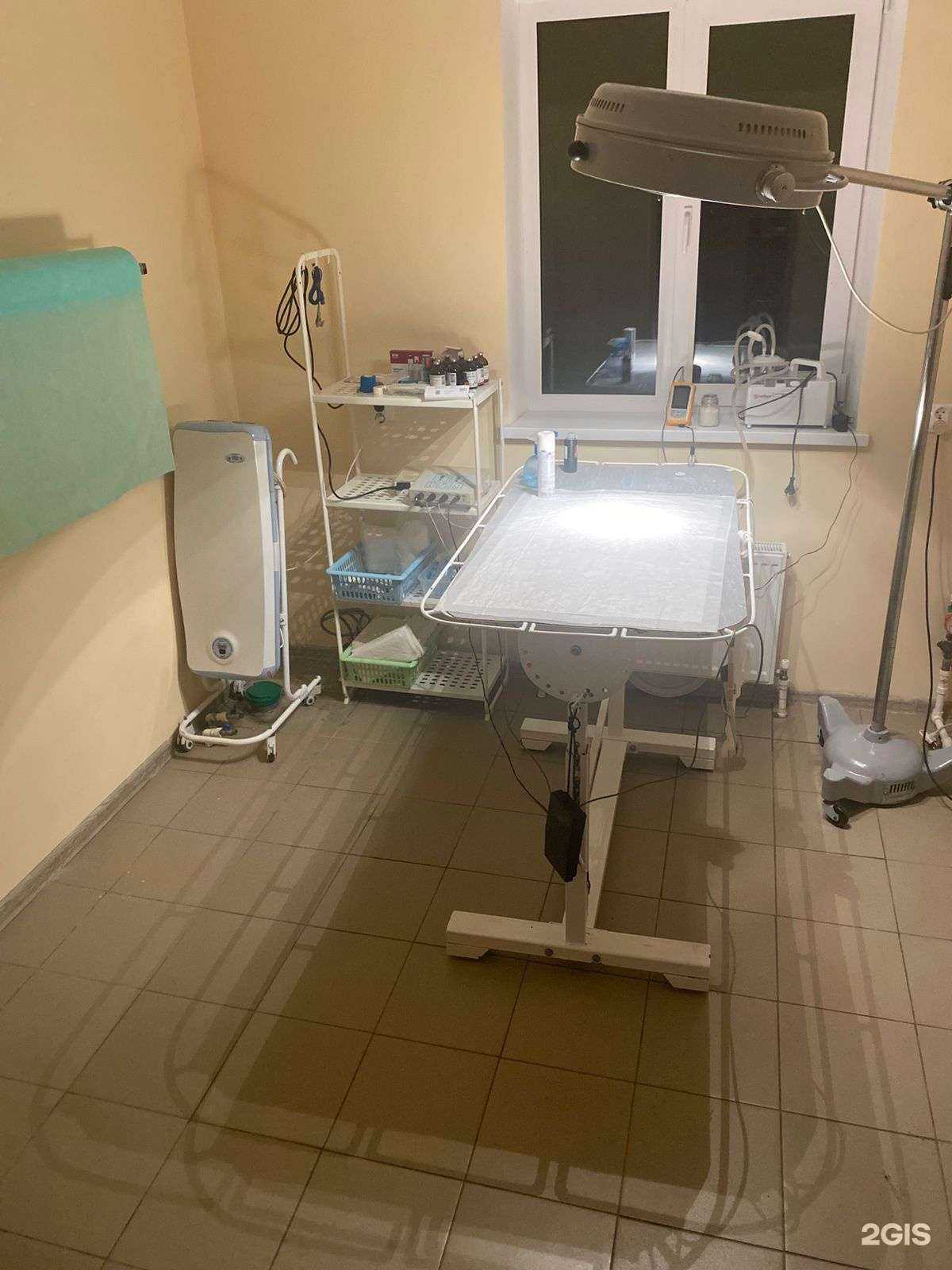 Отзывы на компанию UfaVet Дёма в г. Уфа c фото