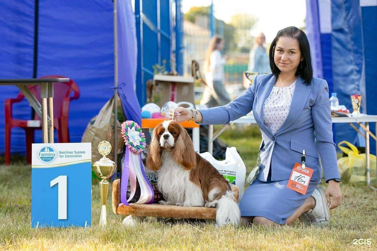 Отзывы на компанию Terra Dogs в г. Петрозаводск c фото