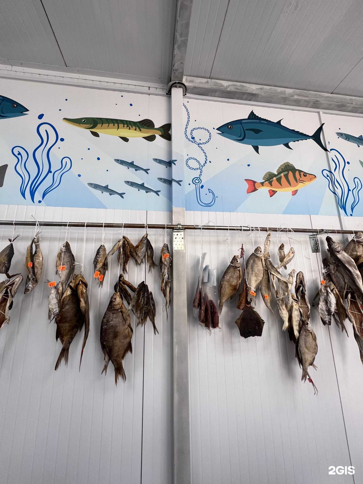 Отзывы на компанию Рыбка плюс в г. Анапа c фото