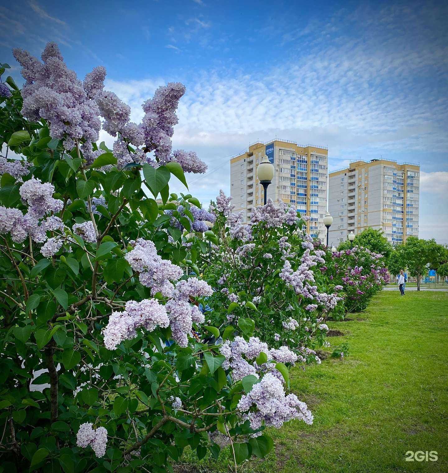 Отзывы на компанию International House Voronezh-Linguist в Воронеже c фото - фотография 2 из 2