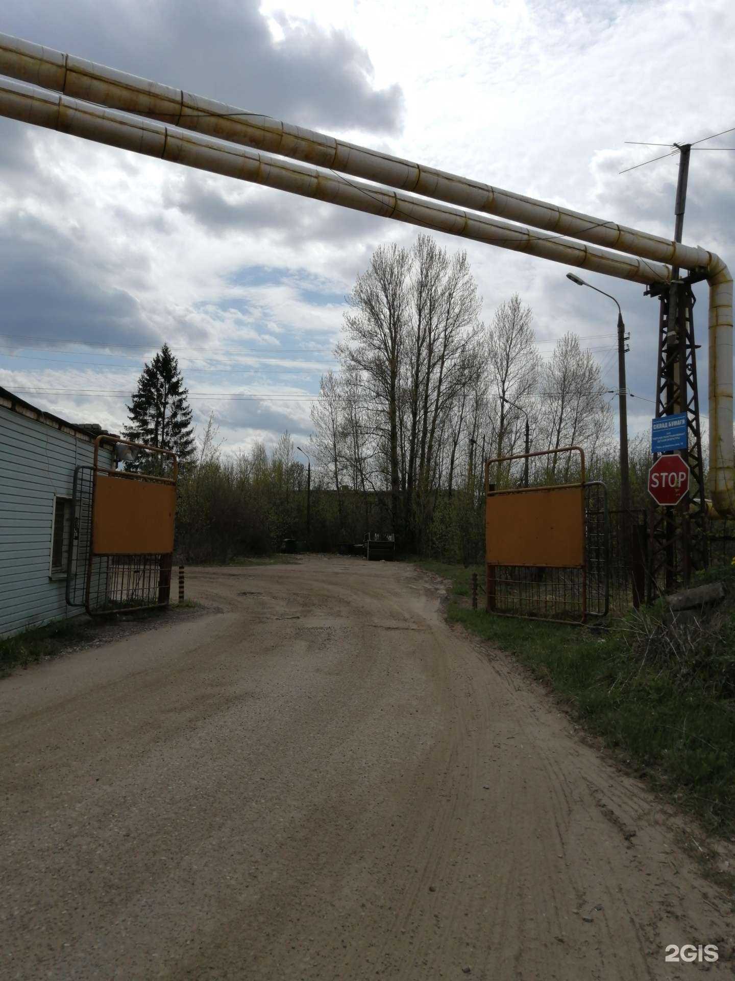 Отзывы на компанию Волжский лес в Твери c фото