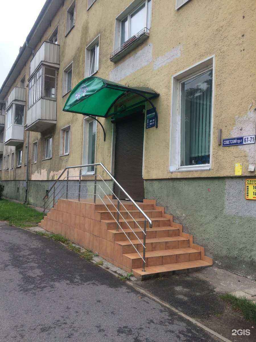 Отзывы на компанию Мотор в Калининграде c фото