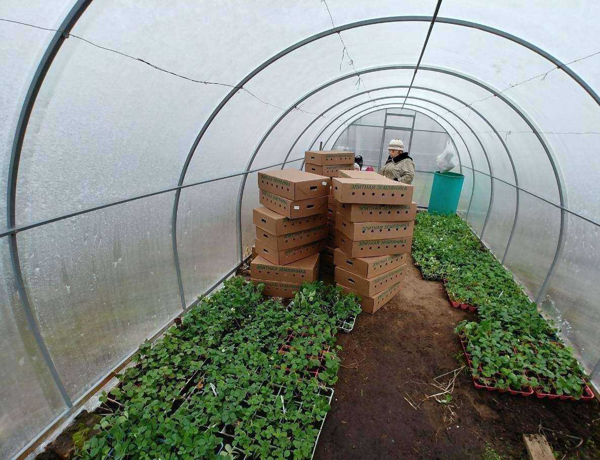 Отзывы на компанию Урожай+ в Нижнем Новгороде c фото