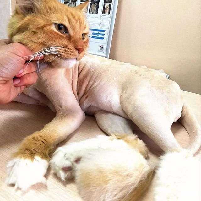 Отзывы на компанию Биосфера в Йошкар-Оле c фото