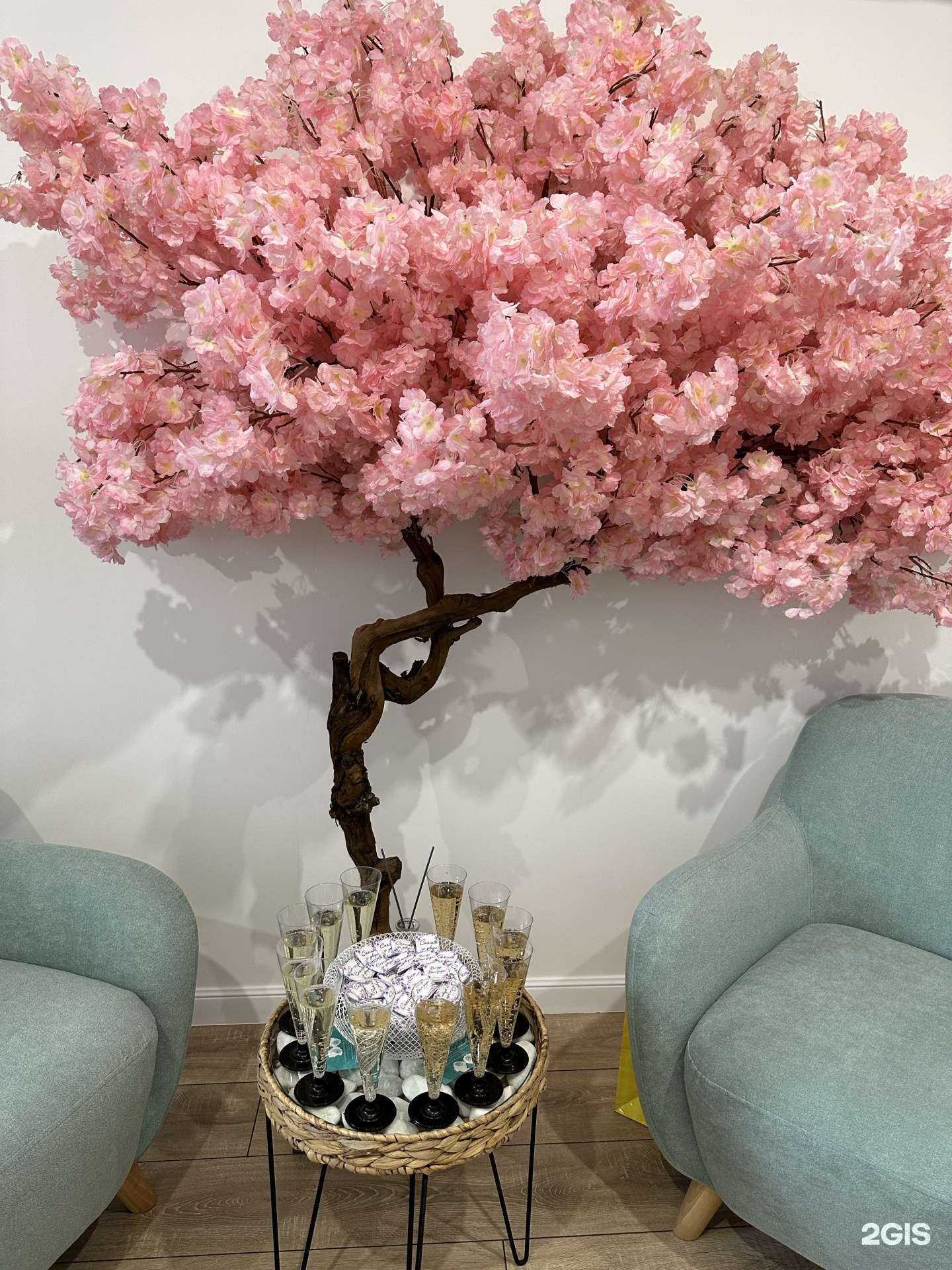 Отзывы на компанию Студия психологии и нейронутрициологии Анастасии Чаплиевой в Новороссийске c фото