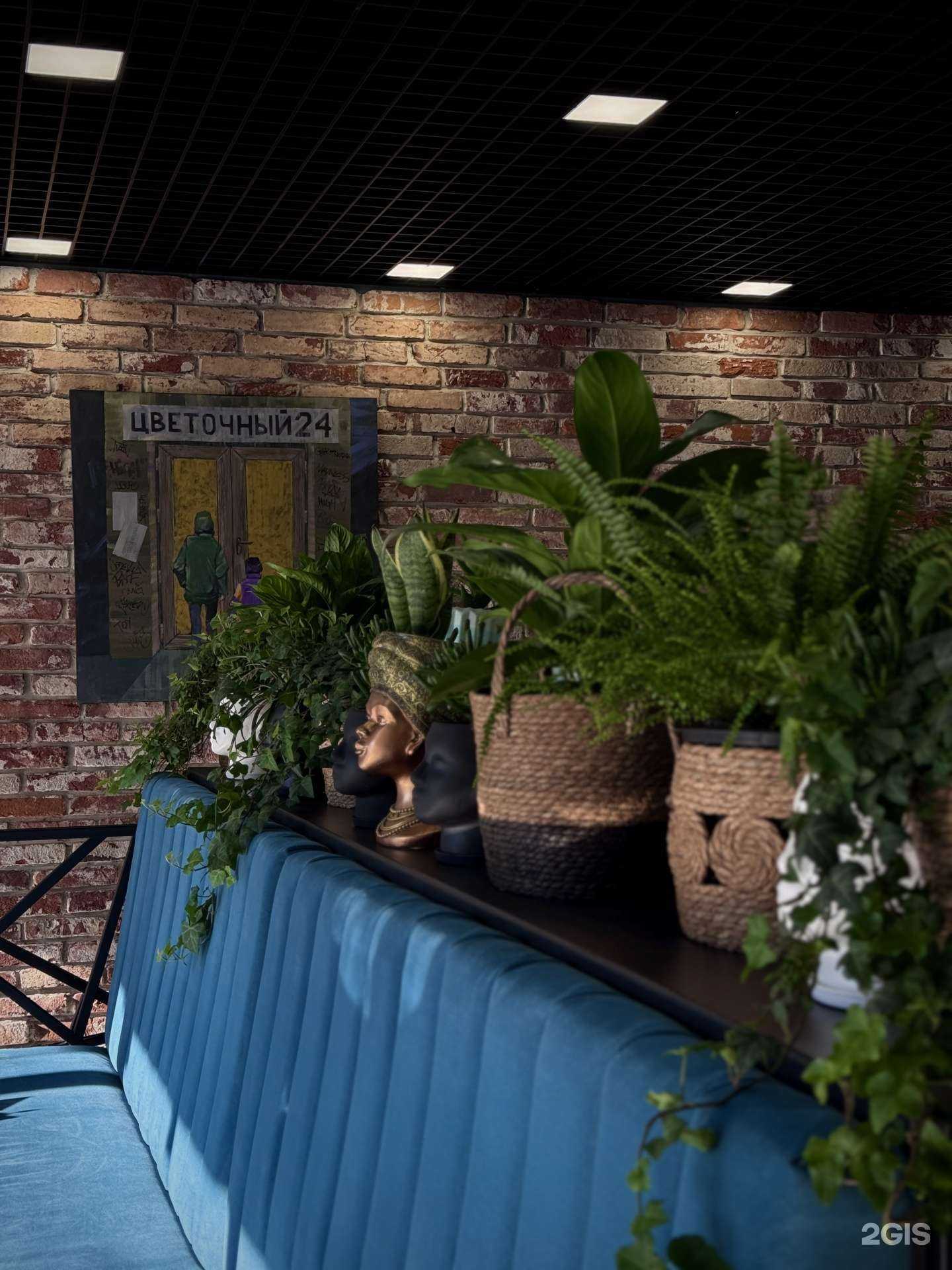 Отзывы на компанию Zerna в г. Владивосток c фото