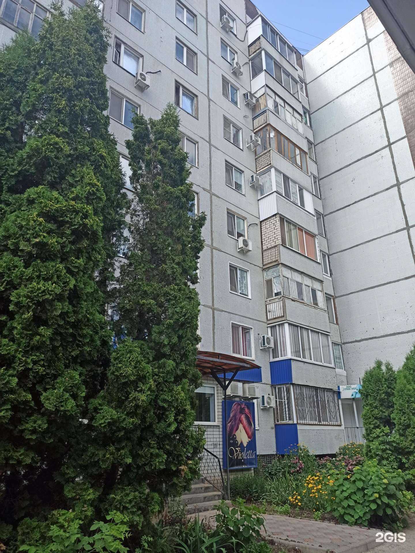 Отзывы на компанию Violetta в Балакове c фото