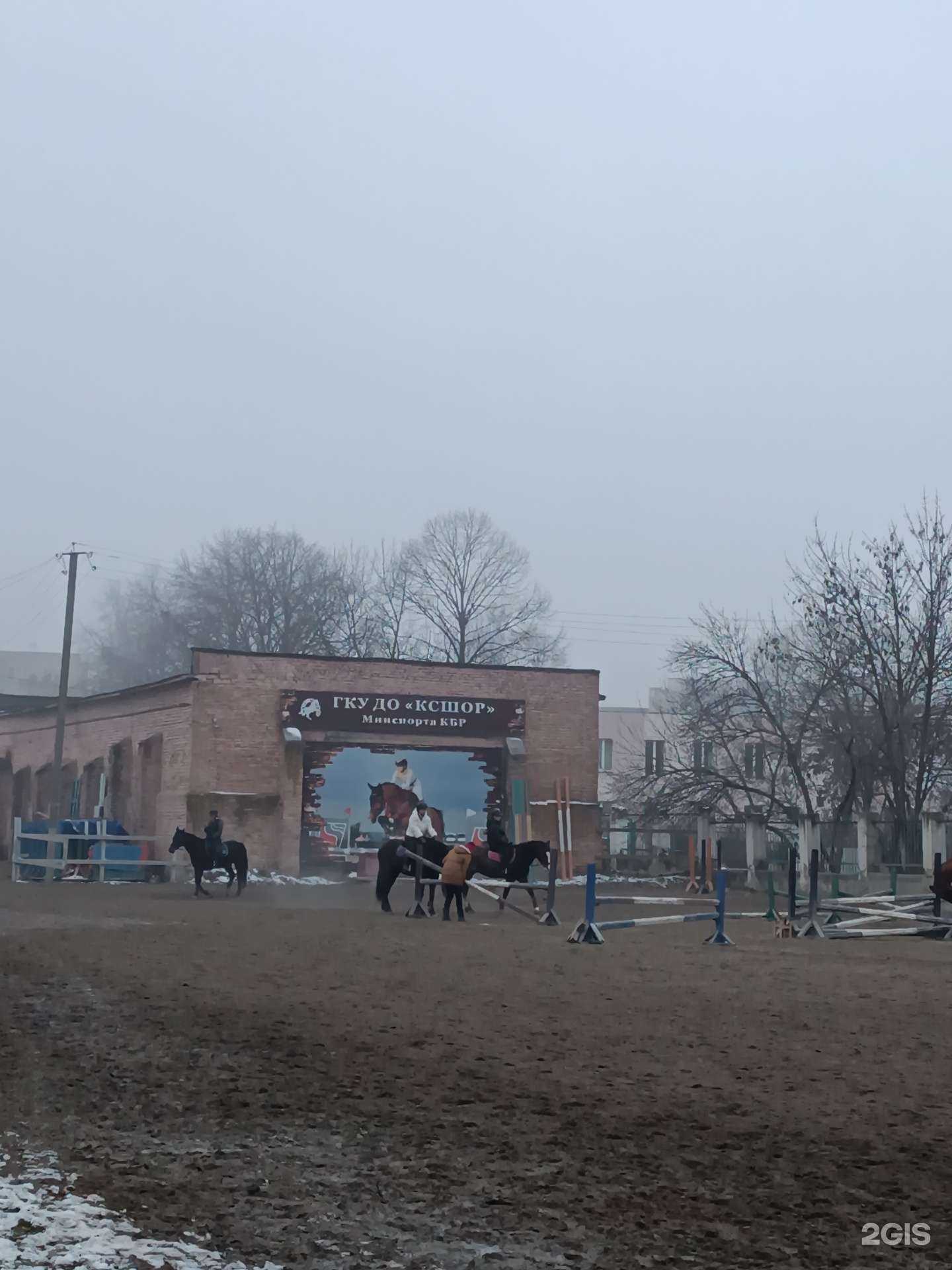 Отзывы на компанию Спортивная школа Олимпийского резерва №3 в г. Нальчик c фото