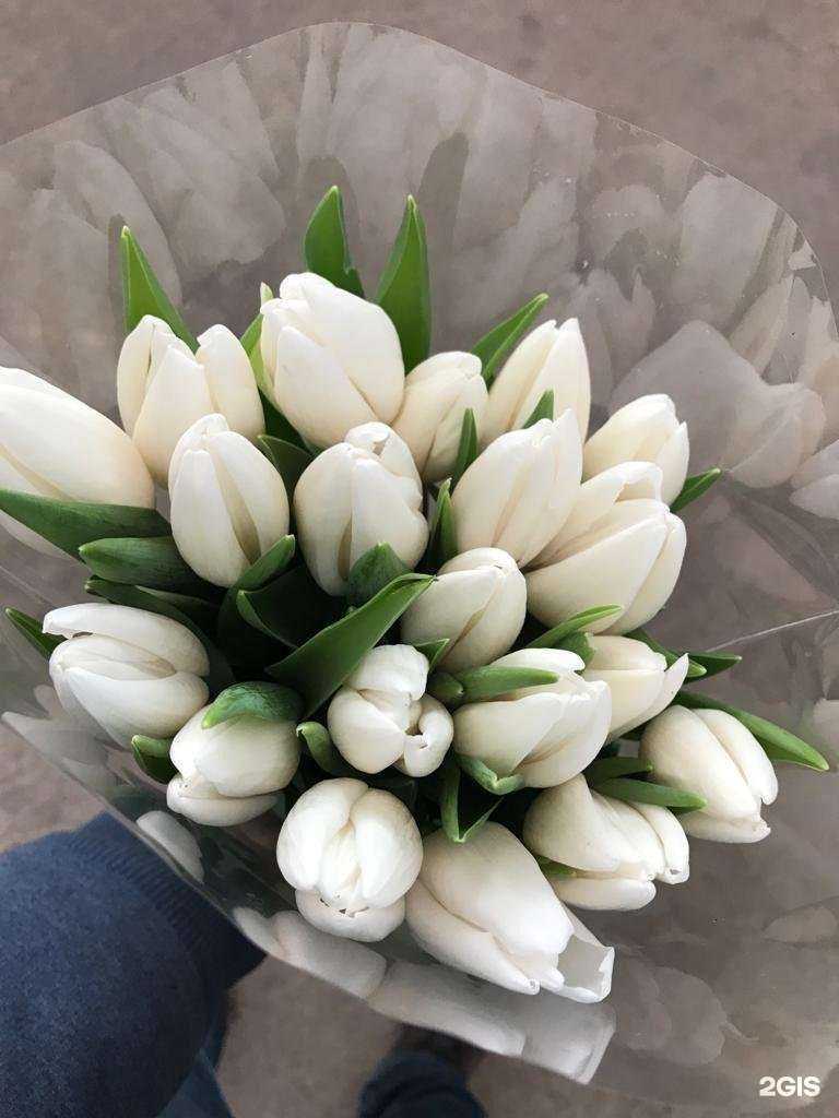 Отзывы на компанию Твои цветы в г. Нижневартовск c фото
