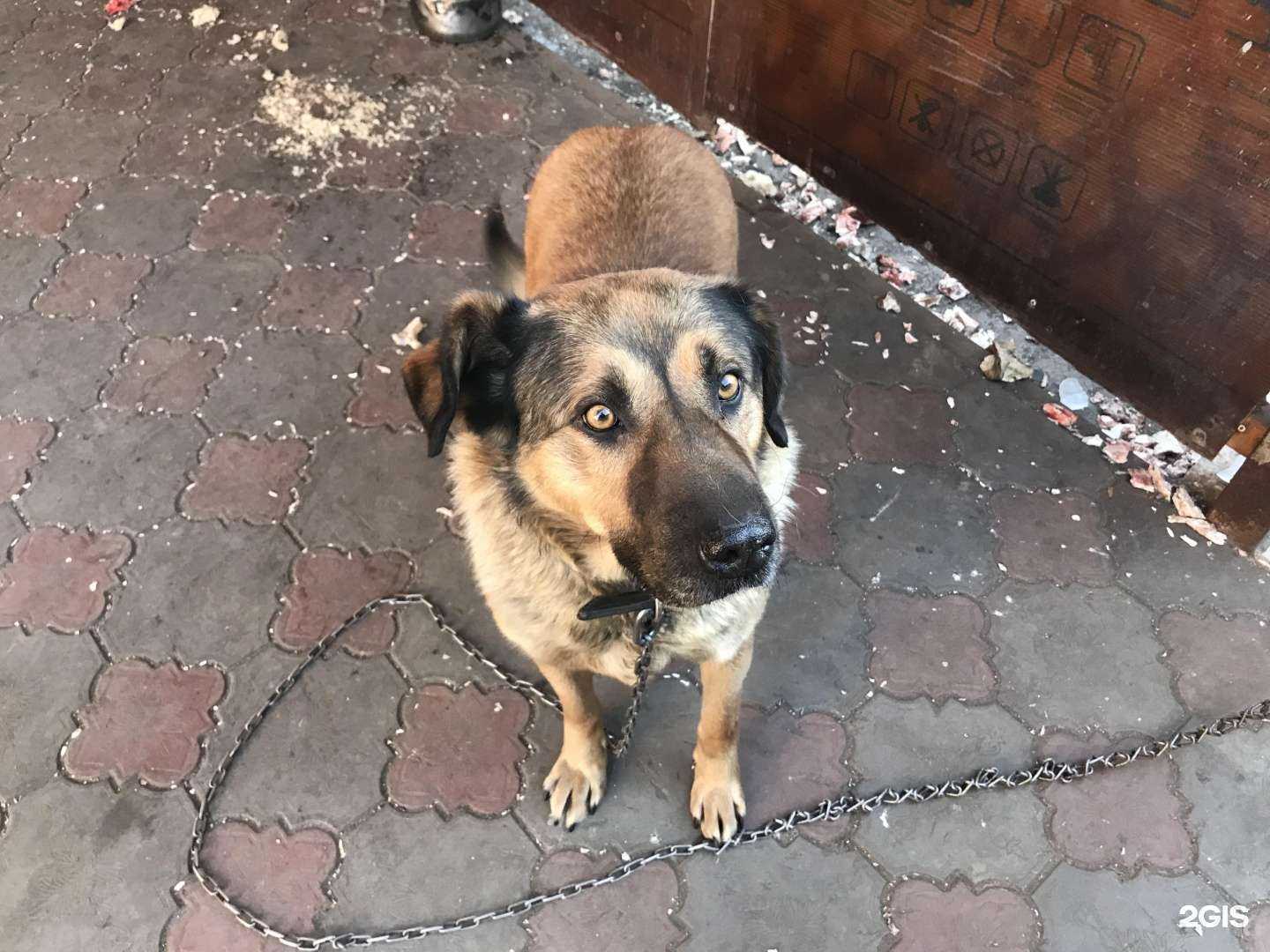 Отзывы на компанию Шифа в Набережных Челнах c фото