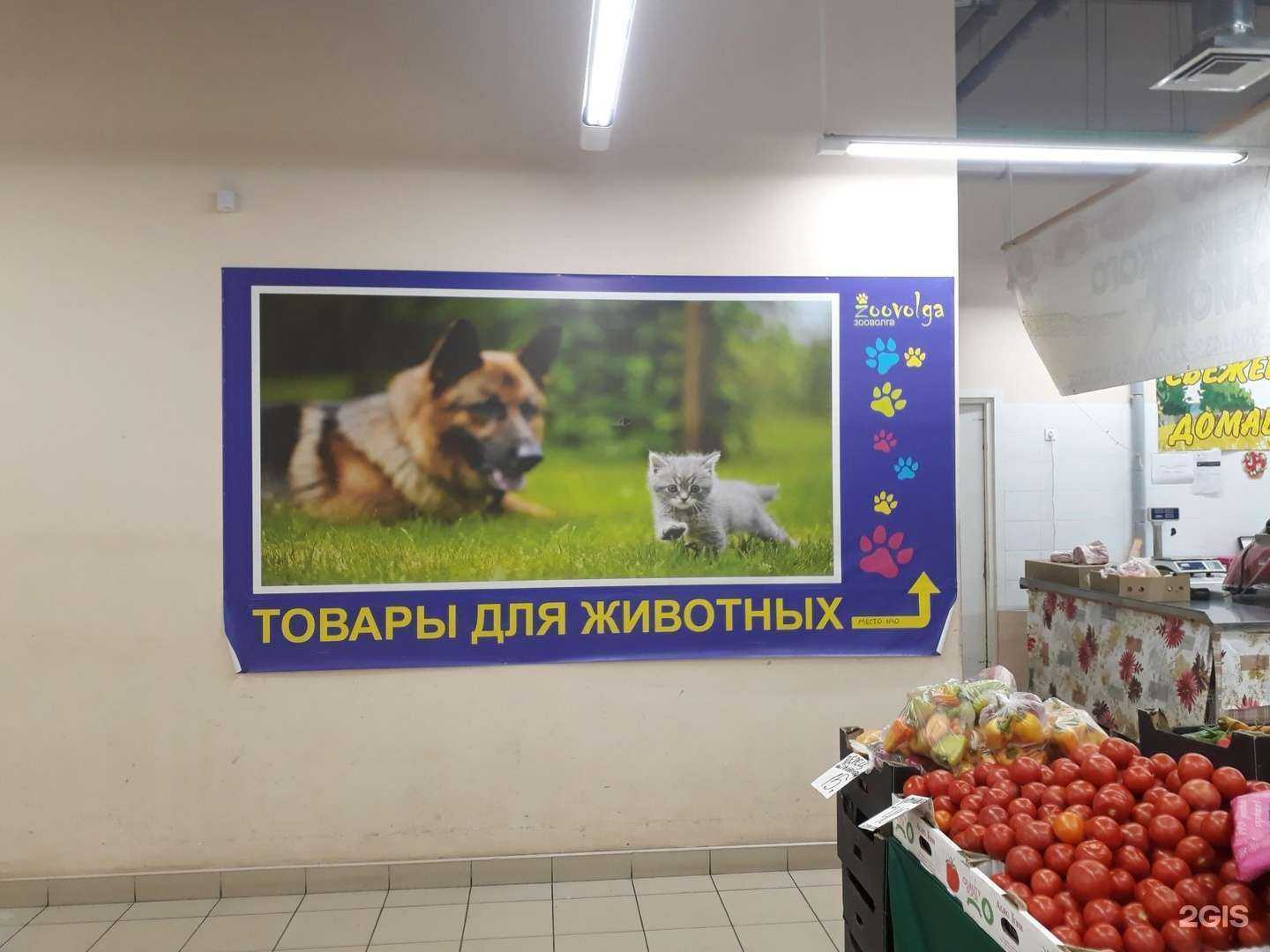 Отзывы на компанию Зооволна.ру в Волжском c фото