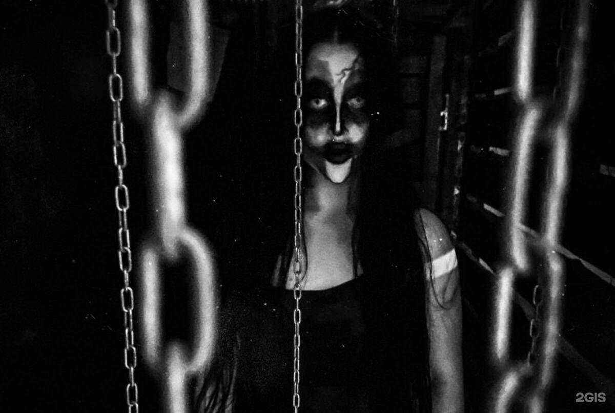 Отзывы на компанию Quest Stars в Ростове-на-Дону c фото