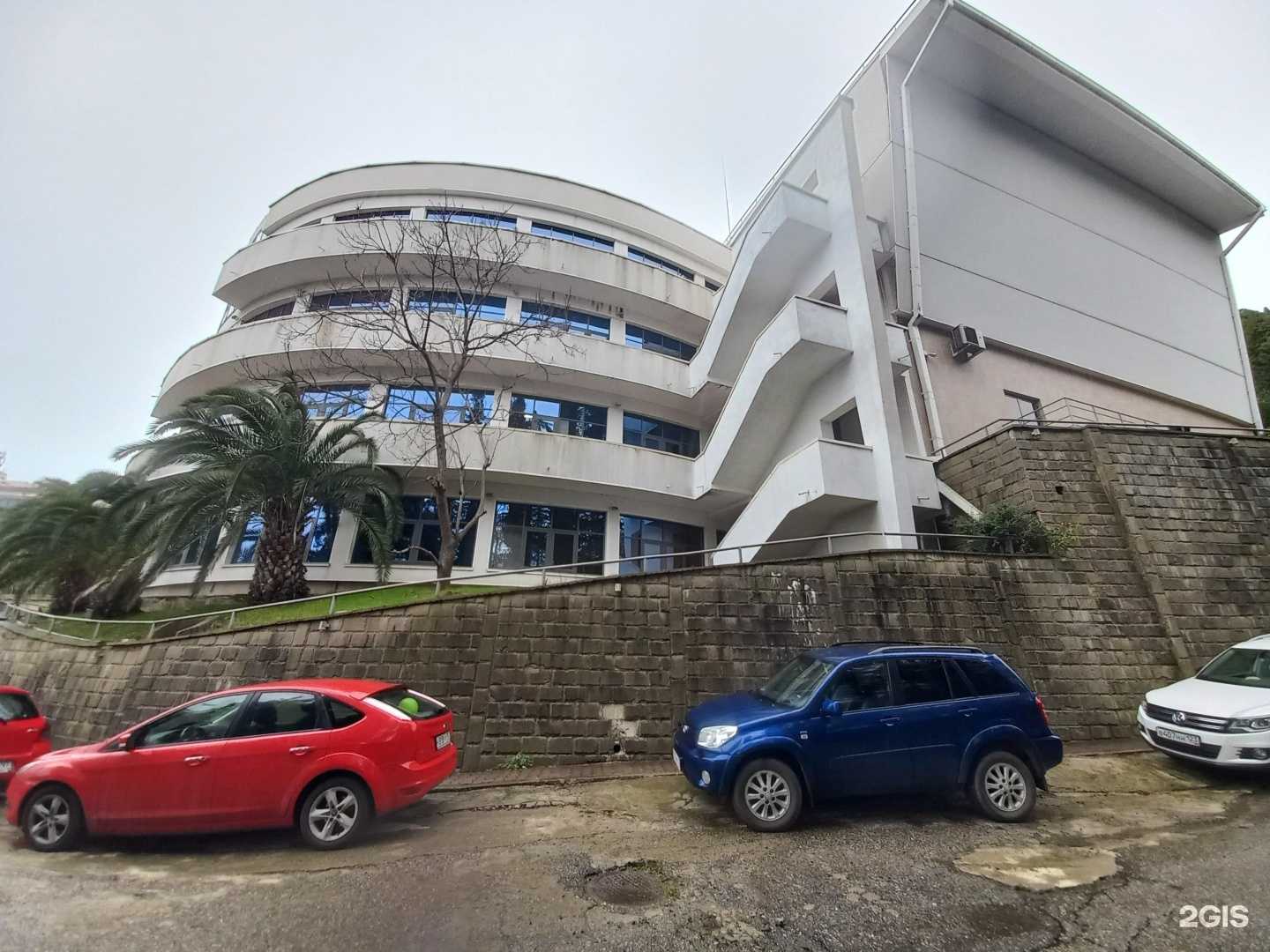 Отзывы на компанию Дельфин в Сочи c фото - фотография 2 из 2