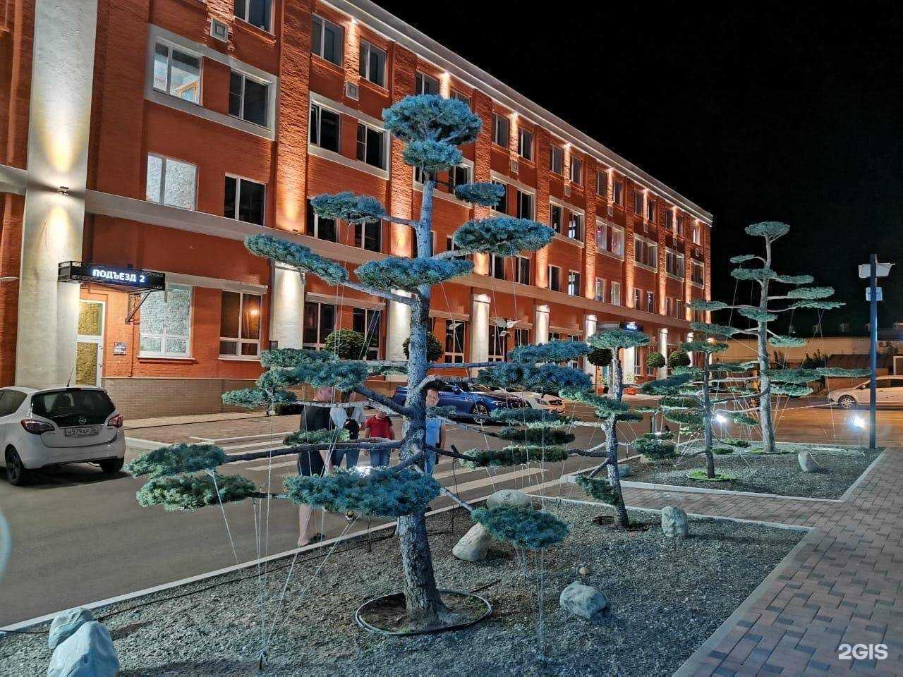 Отзывы на компанию Луис+Воронеж в Воронеже c фото - фотография 2 из 2