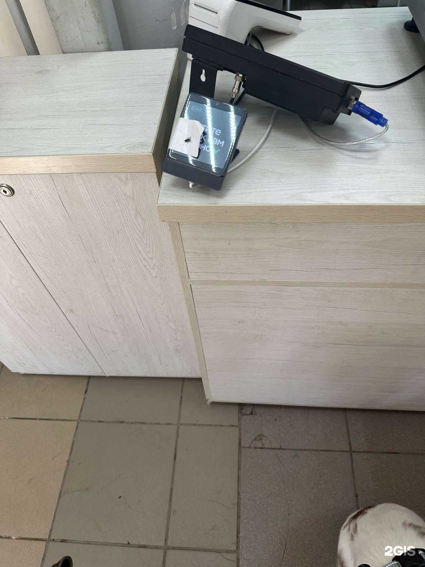 Отзывы на компанию Сытый пес в г. Смоленск c фото