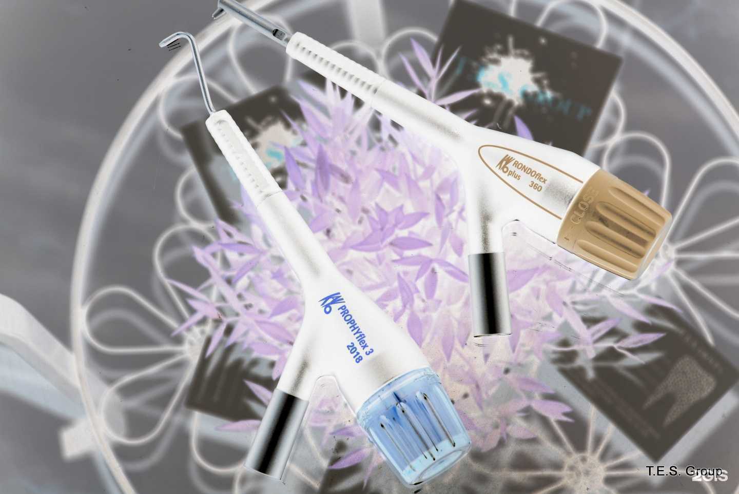 Отзывы на компанию T.E.S. Group в Воронеже c фото