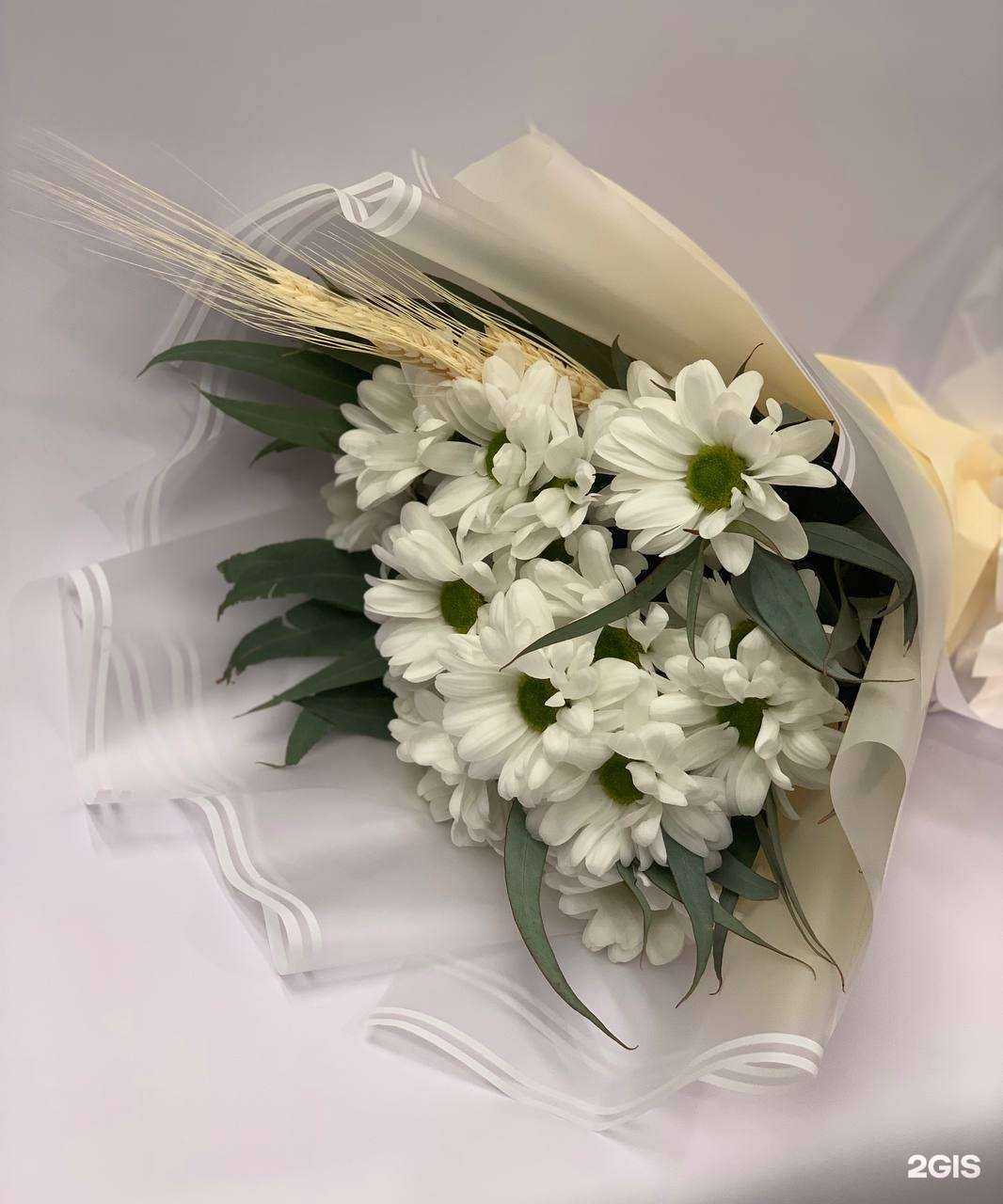 Отзывы на компанию Майский жук в Краснодаре c фото