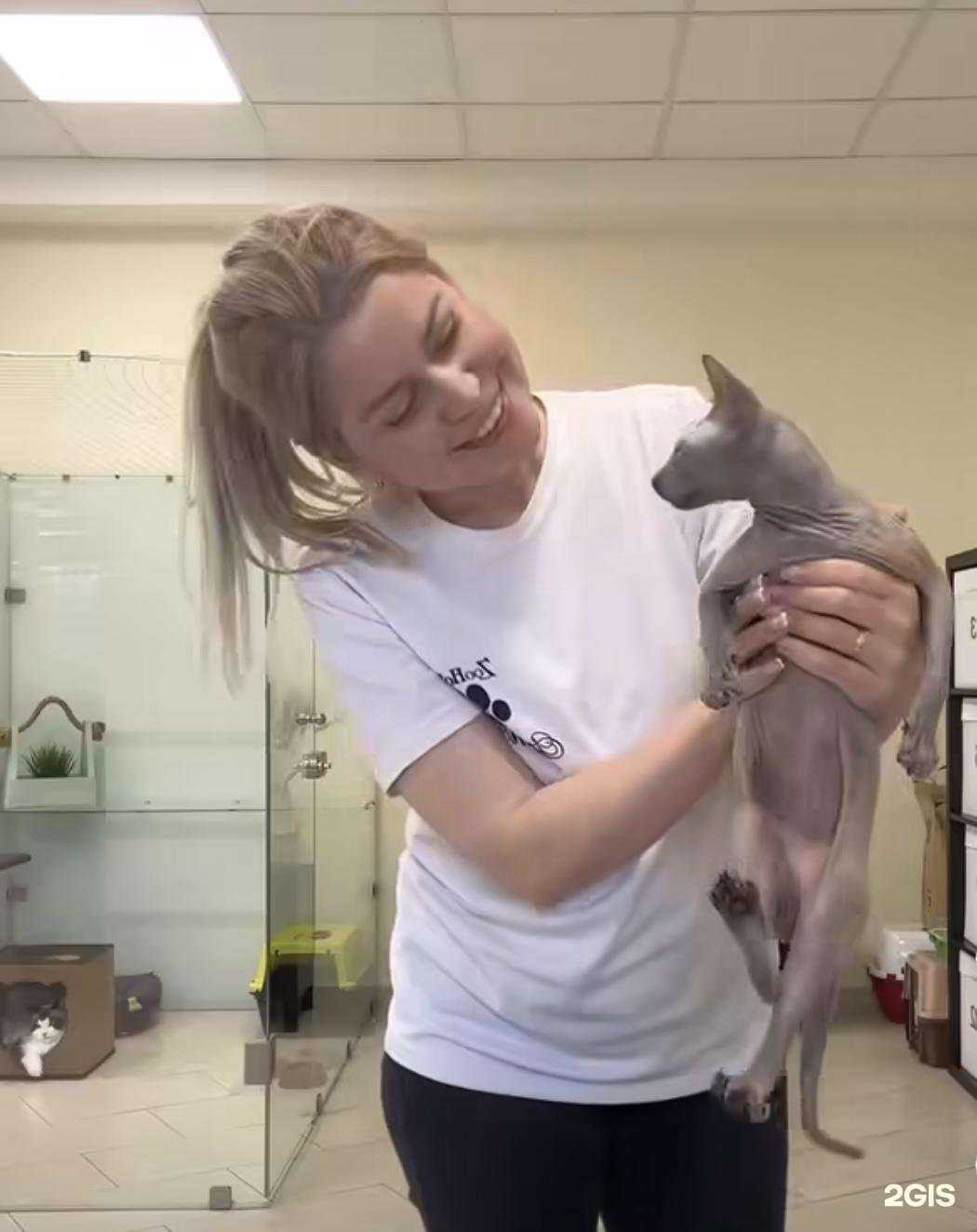 Отзывы на компанию Зоогостиница в Зеленодольске в Зеленодольске c фото