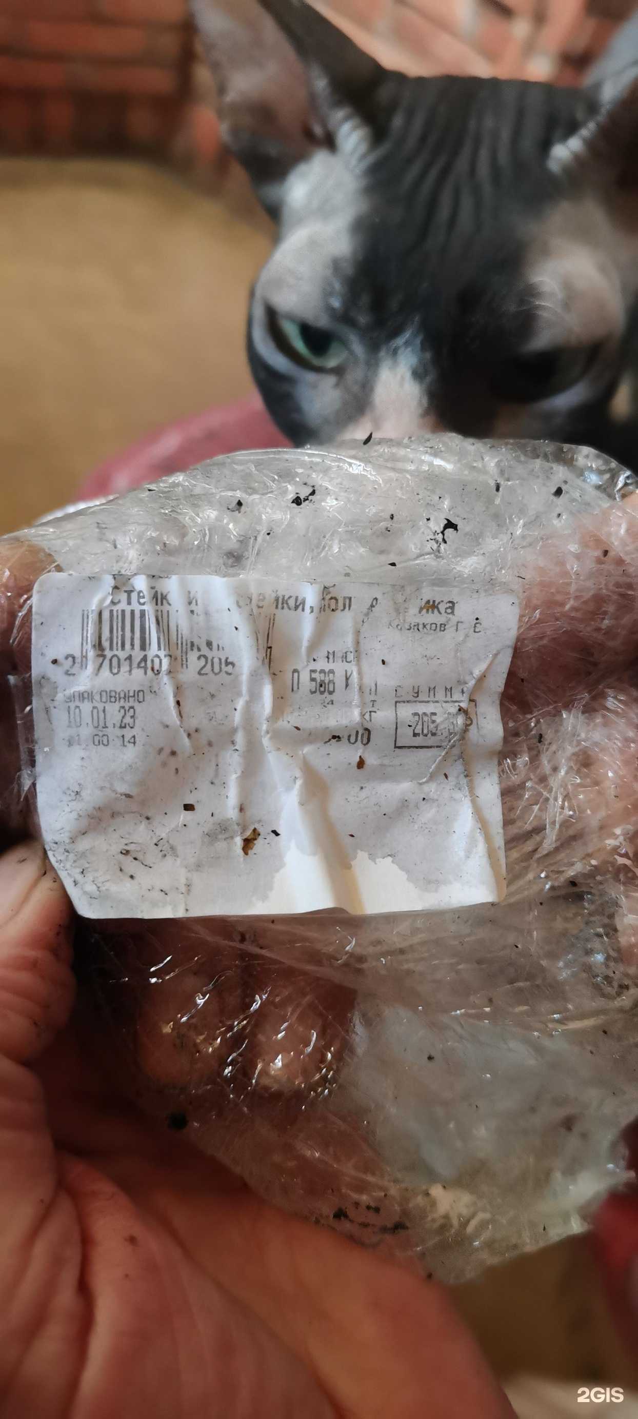 Отзывы на компанию Скиф в Хабаровске c фото