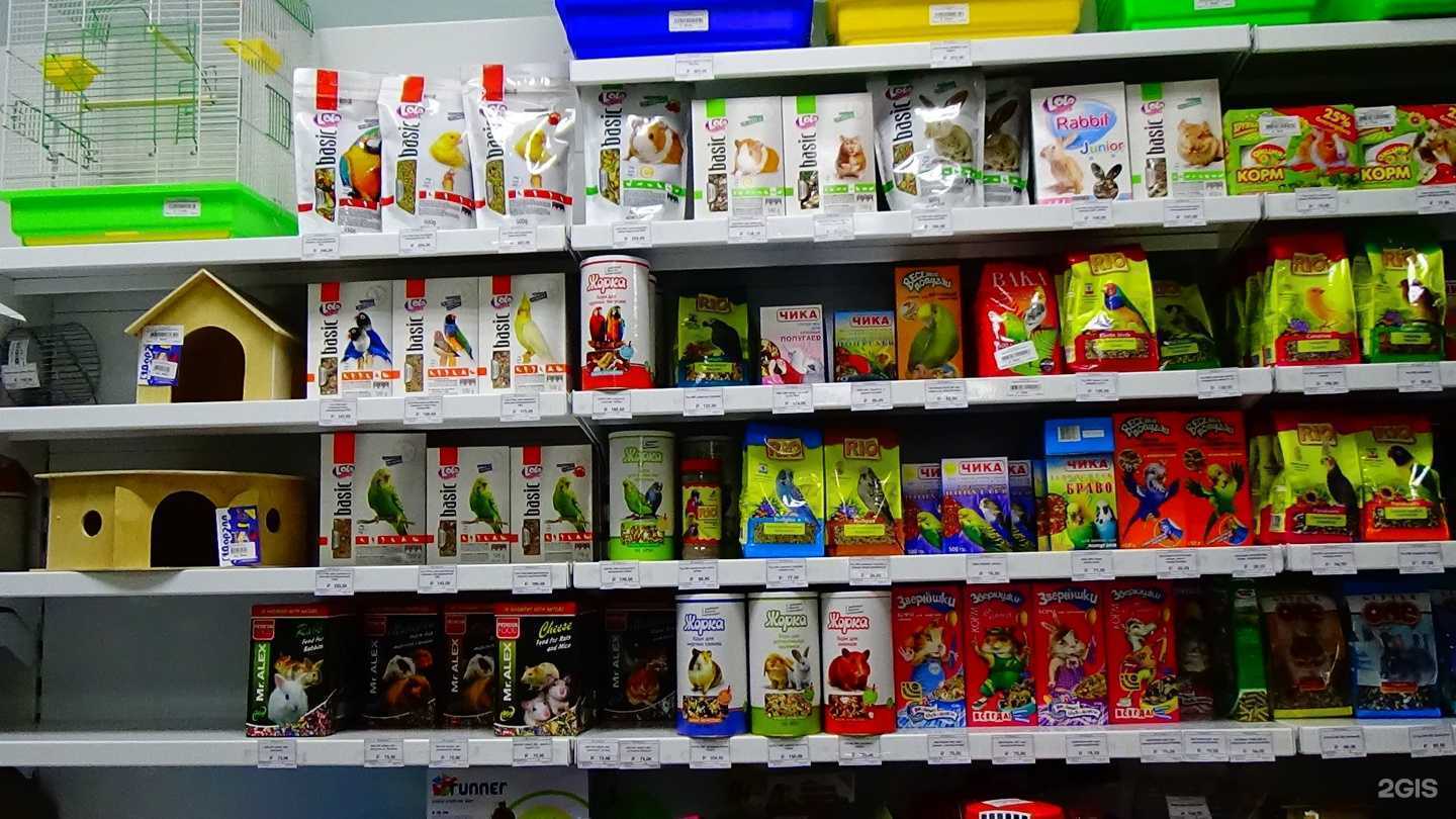 Отзывы на компанию Доктор Зоо в г. Кемерово c фото