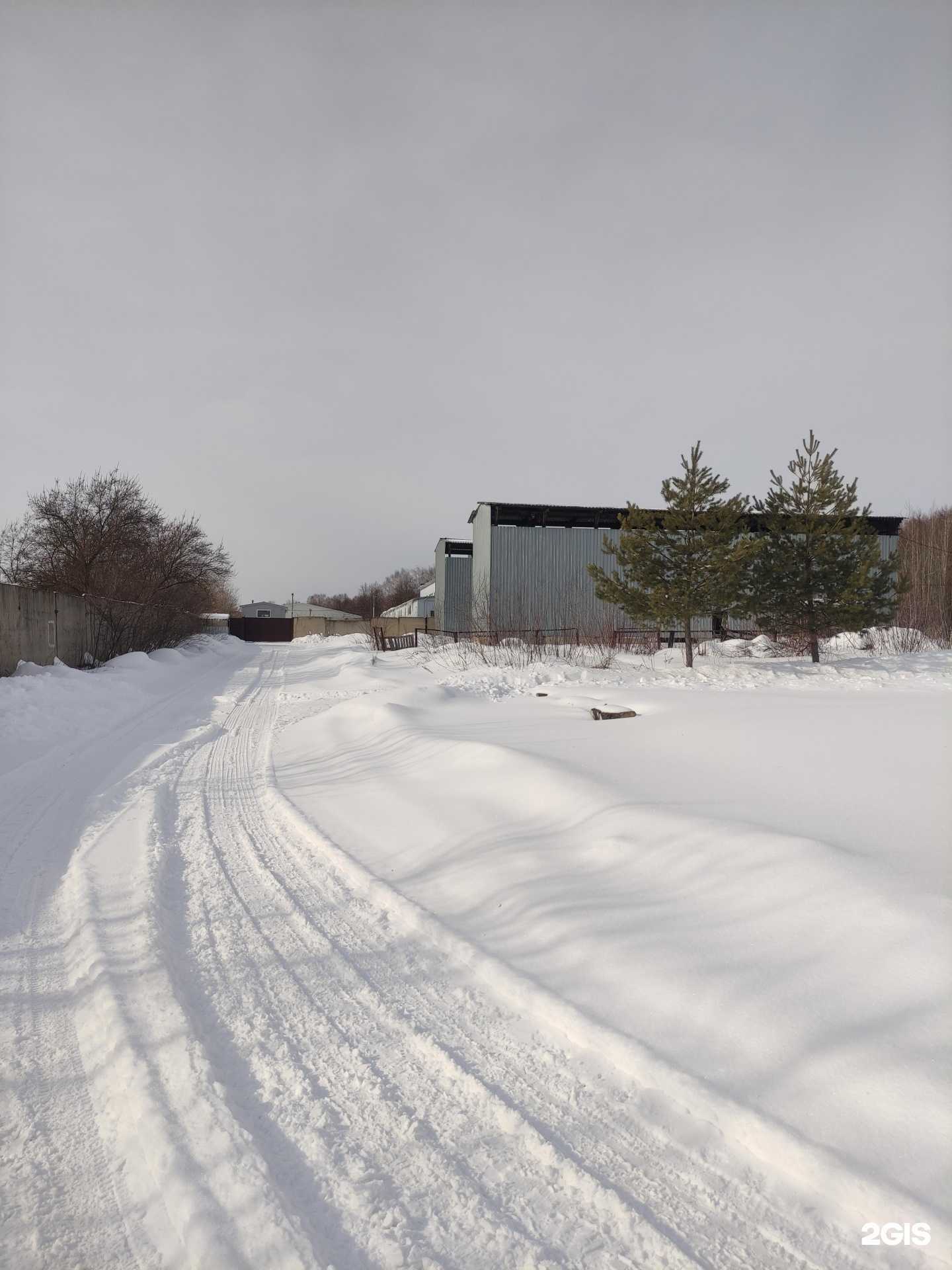 Отзывы на компанию Микас в г. Коломна c фото