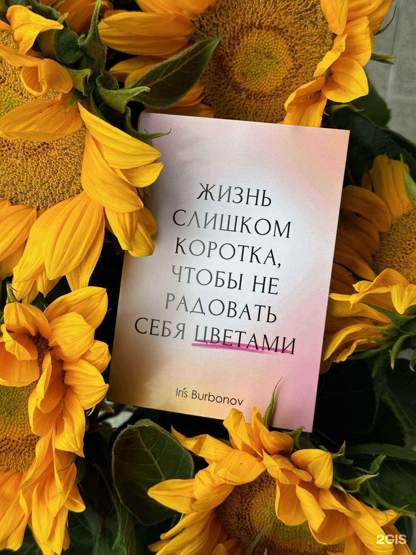 Отзывы на компанию Ирис Бурбонов в Екатеринбурге c фото